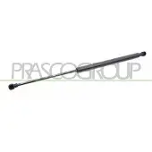 PRASCO PG4209055 Gasveer achterklep