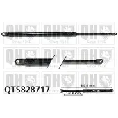 Quinton Hazell QTS828717 Gasveer, dak