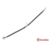 Brembo T 28 121 Remslang