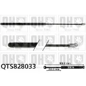 Quinton Hazell QTS828033 Gasveer achterklep