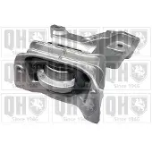 Quinton Hazell EM4910 Motorsteunlager