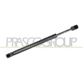 PRASCO AD0229065 Gasveer achterklep