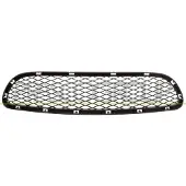 PRASCO BM0262120 Ventilatiegrille, bumper