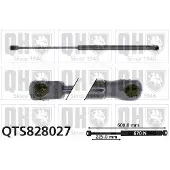 Quinton Hazell QTS828027 Gasveer achterklep