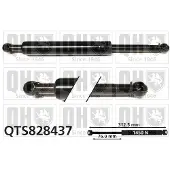 Quinton Hazell QTS828437 Gasveer achterklep