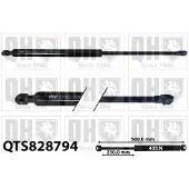 Quinton Hazell QTS828794 Gasveer achterklep