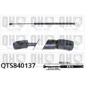 Quinton Hazell QTS840137 Gasveer achterklep
