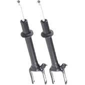 RIDEX 854S19306 Schokdemper