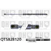 Quinton Hazell QTS828120 Gasveer achterklep
