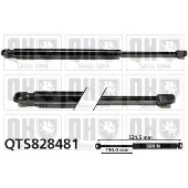 Quinton Hazell QTS828481 Gasveer achterklep