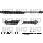 Quinton Hazell QTS828313 Gasveer motorkap