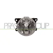 PRASCO PG3264433 Mistlamp