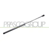 PRASCO CI3249055 Gasveer achterklep
