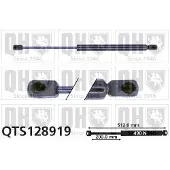 Quinton Hazell QTS128919 Gasveer achterklep