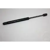 AUTOMEGA 100043210 Gasveer achterklep