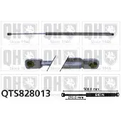 Quinton Hazell QTS828013 Gasveer achterklep