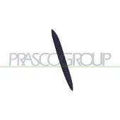 BLIC 5513-00-3521926P Ventilatiegrille, bumper