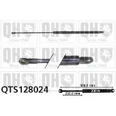 Quinton Hazell QTS128024 Gasveer achterklep