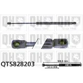 Quinton Hazell QTS828203 Gasveer achterklep