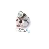 AKS DASIS 215003N Turbocharger