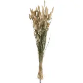 J-Line Bundel pluim hazenstaart gedroogd gras naturel