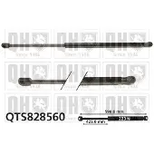Quinton Hazell QTS828560 Gasveer achterklep