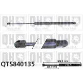 Quinton Hazell QTS840135 Gasveer achterklep