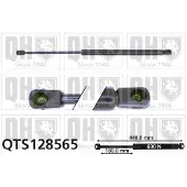 Quinton Hazell QTS128565 Gasveer achterklep