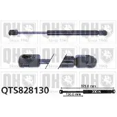 Quinton Hazell QTS828130 Gasveer achterklep