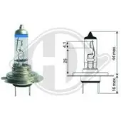 Diederichs LID10066 Gloeilamp, koplamp