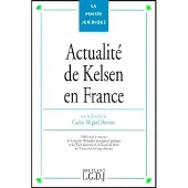 Lgdj Actualité de kelsen en france