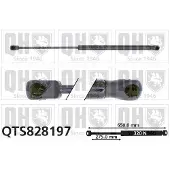 Quinton Hazell QTS828197 Gasveer motorkap