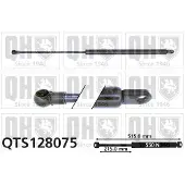 Quinton Hazell QTS128075 Gasveer achterklep