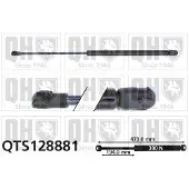 Quinton Hazell QTS128881 Gasveer achterklep