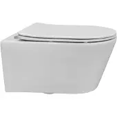 Sanilux Wandcloset Easy Flush Rimfree (Incl. Flatline zitting)