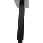 Boss & Wessing BWS Douchearm Luxe Vierkant Plafondbevestiging 20cm Mat Zwart