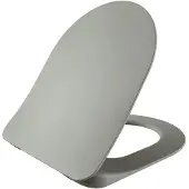Boss & Wessing Toiletzitting bws met inox scharnieren softclose koel grijs