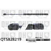Quinton Hazell QTS828219 Gasveer achterklep