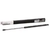 RIDEX 219G0512 Gasveer achterklep
