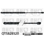 Quinton Hazell QTS828520 Gasveer achterklep