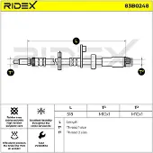 RIDEX 83B0248 Remslang