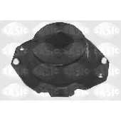 SASIC 4001644 Veerpootlager