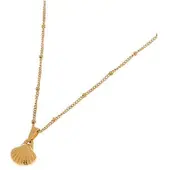 Label Kiki We shell sea necklace gold