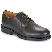 Carlington Derby's CAVIL heren 46