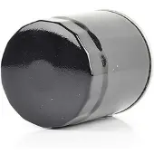 BSG 60-130-004 Brandstoffilter