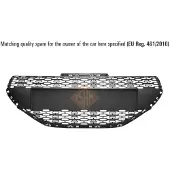 BLIC 6502-07-5509990Q Radiator grill