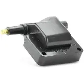 EFI 155287 Bobine