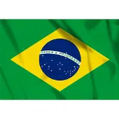Fostex vlag Brazilie, Braziliaanse vlag