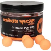CC Moore Pop Ups Northern Specials NS1 Orange - Maat : 13-14mm +