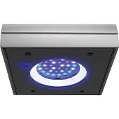 Blue Marine ProLED 90